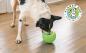 Preview: Outward Hound Snoop Grün Preview: Outward Hound Snoop Grün